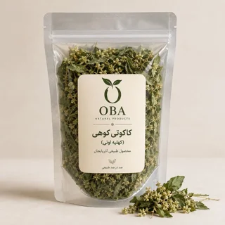 کاکوتی کوهی