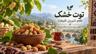 توت خشک چیست؟ خواص تغذیه‌ای، روش مصرف، تشخیص کیفیت و نگهداری توت خشک